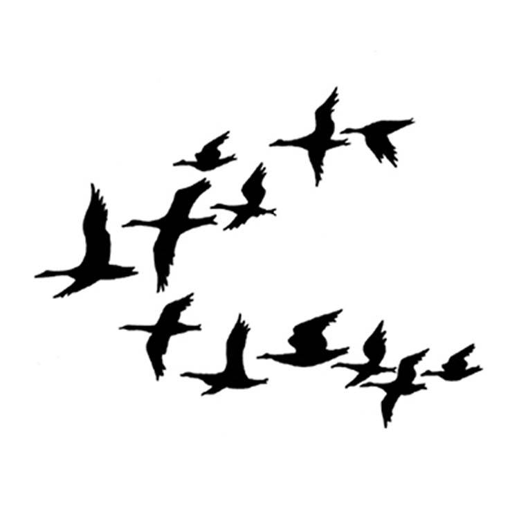 Ducks (LAV247) - Lavinia World
