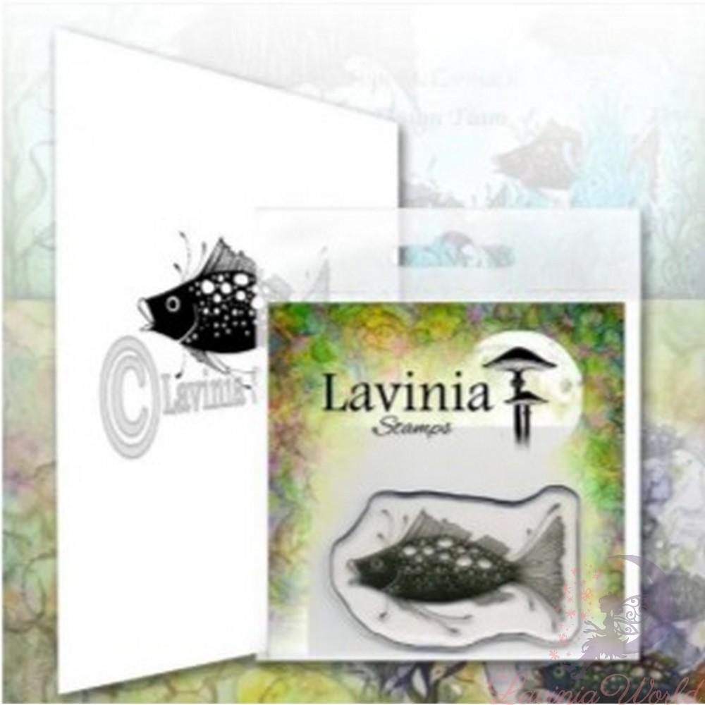 Arlo (LAV619) - Lavinia World