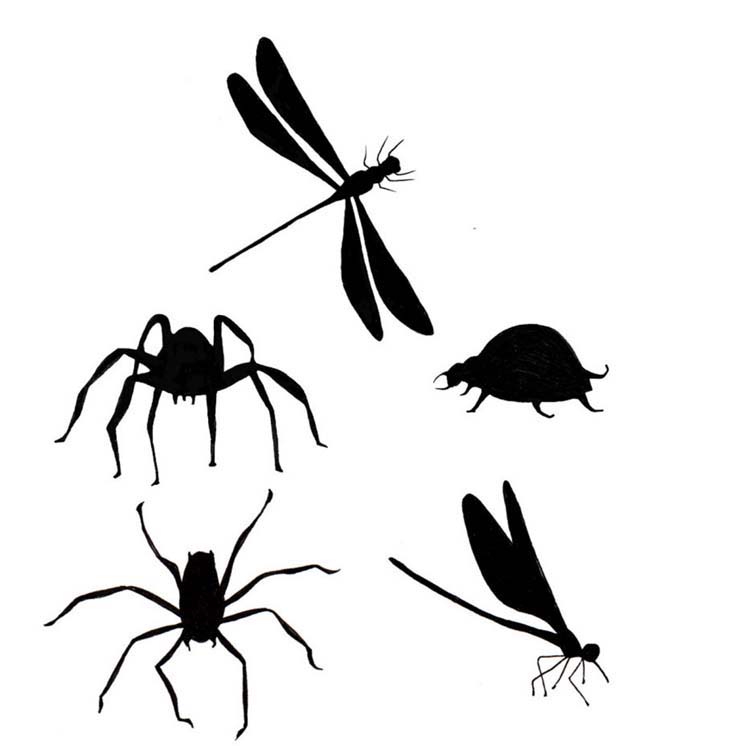 Bugs (LAV156) - Lavinia World