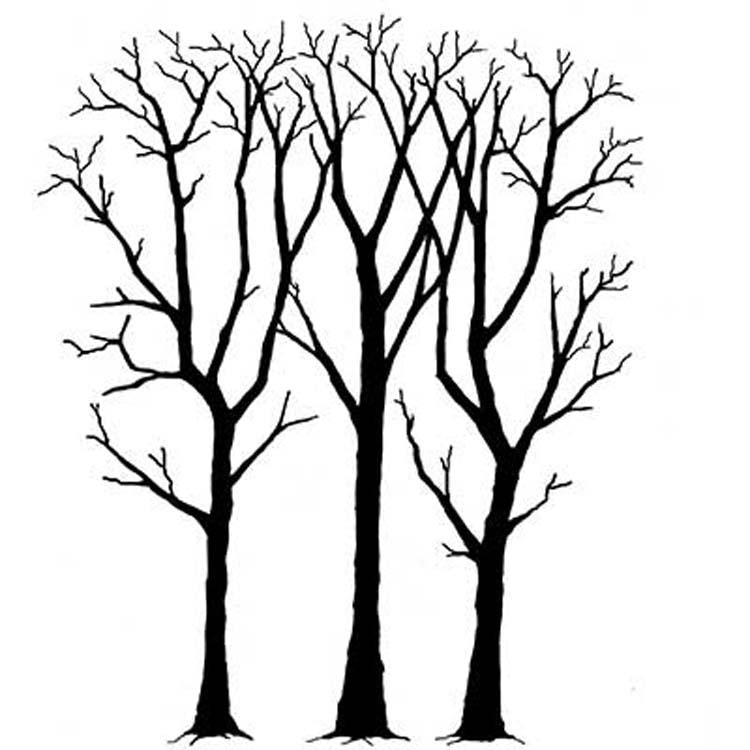Spring Trees (LAV168) - Lavinia World